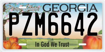 GA license plate PZM6642