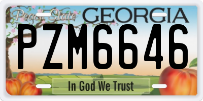 GA license plate PZM6646