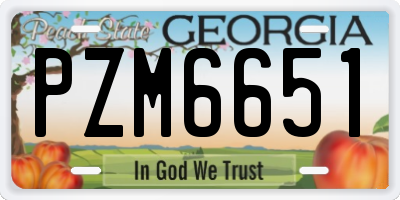 GA license plate PZM6651