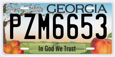 GA license plate PZM6653
