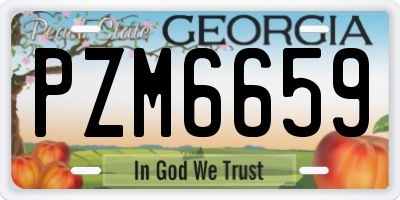 GA license plate PZM6659