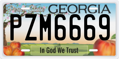 GA license plate PZM6669