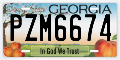 GA license plate PZM6674