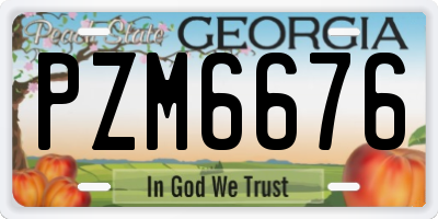 GA license plate PZM6676