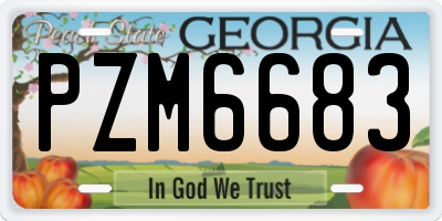 GA license plate PZM6683