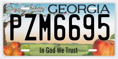 GA license plate PZM6695
