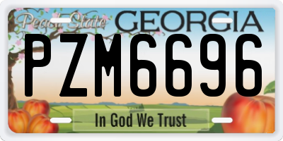 GA license plate PZM6696