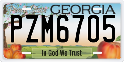 GA license plate PZM6705