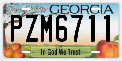 GA license plate PZM6711