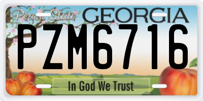 GA license plate PZM6716