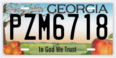 GA license plate PZM6718