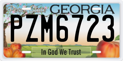 GA license plate PZM6723