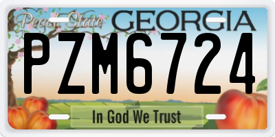GA license plate PZM6724