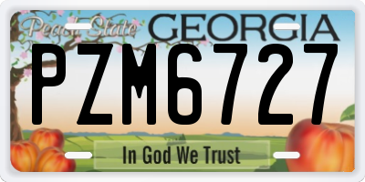 GA license plate PZM6727