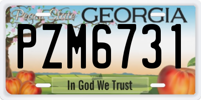 GA license plate PZM6731