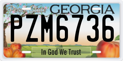 GA license plate PZM6736