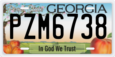 GA license plate PZM6738