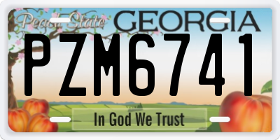 GA license plate PZM6741