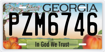 GA license plate PZM6746
