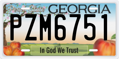 GA license plate PZM6751
