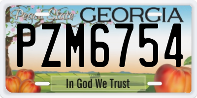 GA license plate PZM6754