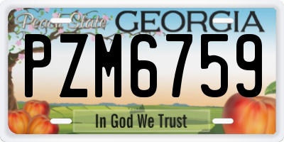 GA license plate PZM6759