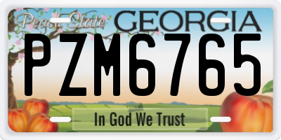 GA license plate PZM6765
