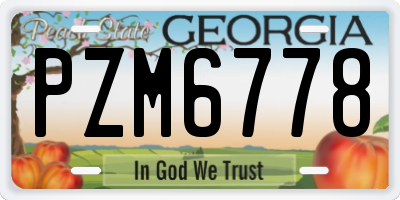 GA license plate PZM6778