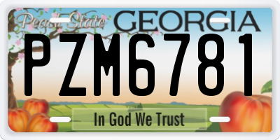 GA license plate PZM6781