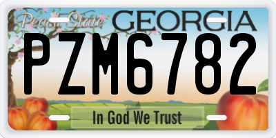 GA license plate PZM6782