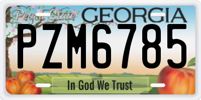 GA license plate PZM6785