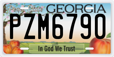 GA license plate PZM6790