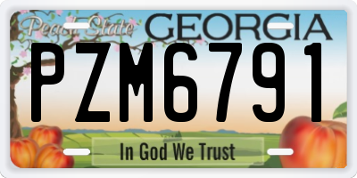 GA license plate PZM6791
