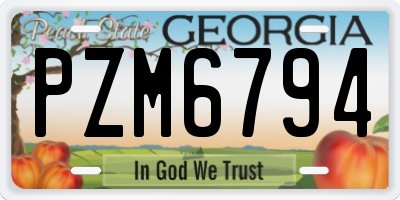 GA license plate PZM6794