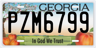 GA license plate PZM6799