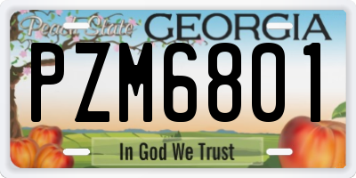 GA license plate PZM6801
