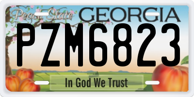 GA license plate PZM6823
