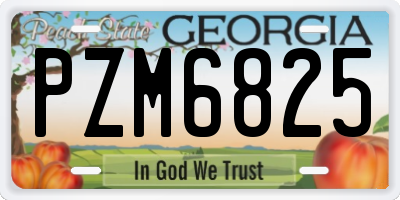 GA license plate PZM6825
