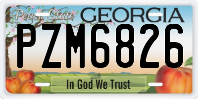 GA license plate PZM6826
