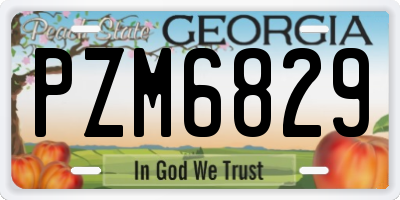 GA license plate PZM6829