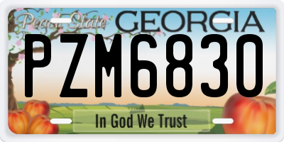 GA license plate PZM6830