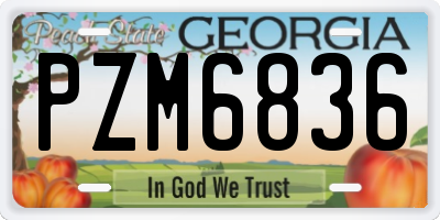 GA license plate PZM6836