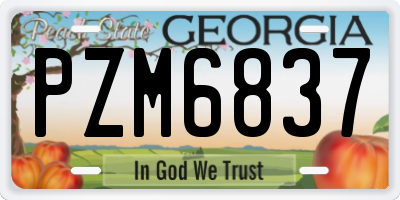 GA license plate PZM6837