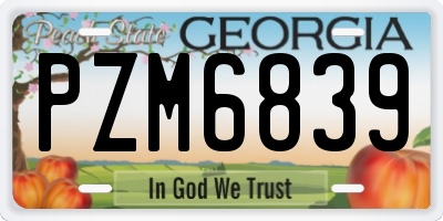 GA license plate PZM6839