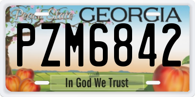 GA license plate PZM6842