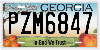 GA license plate PZM6847