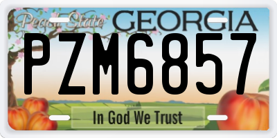 GA license plate PZM6857