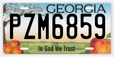 GA license plate PZM6859
