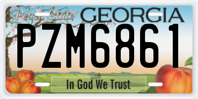 GA license plate PZM6861