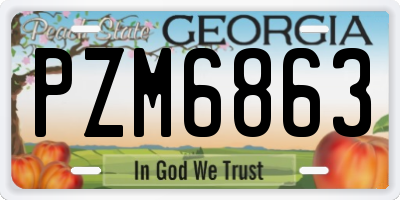 GA license plate PZM6863